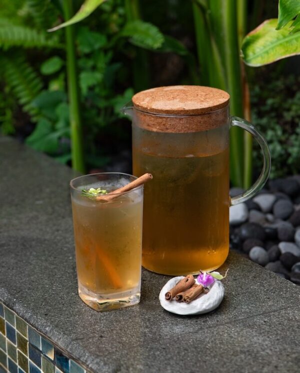 CINNAMON STAR 1L
