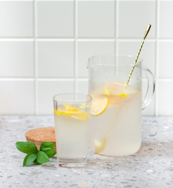GIN TONIC 1L