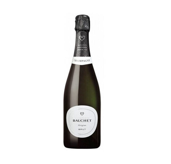 Champagne - Domaine Bauchet Brut 75cl  France
